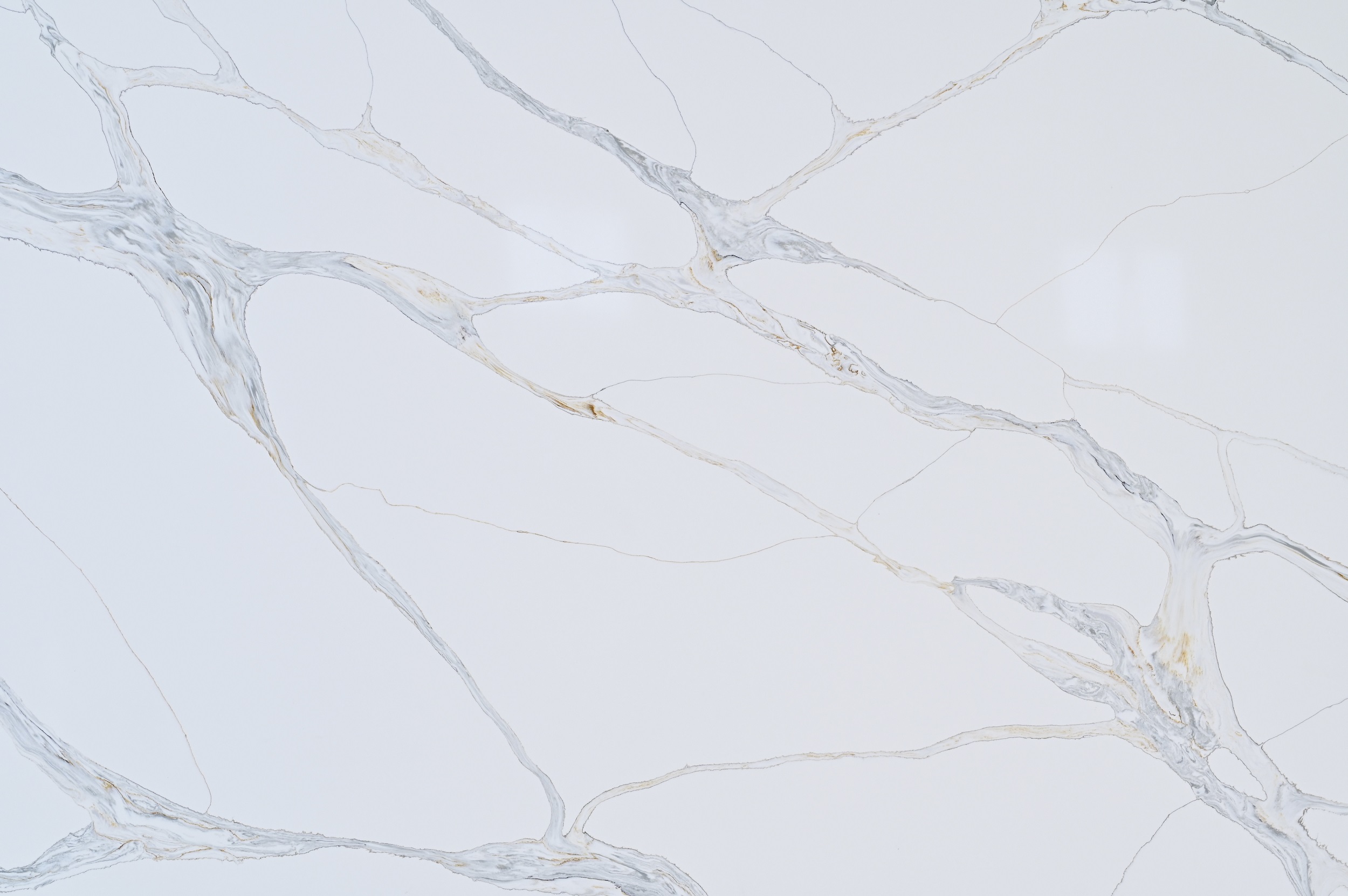 Calacatta-Fantasy-Close-Up